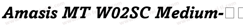 Amasis MT W02SC Medium字体转换